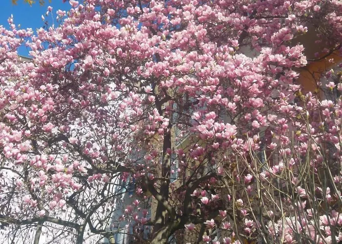 하우스 모벤 - 가르니 호텔 그라츠