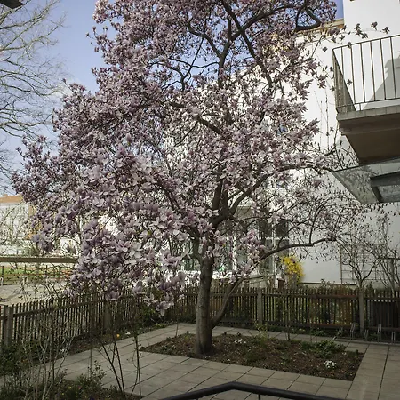 ハウス モービーヌ ガルニ