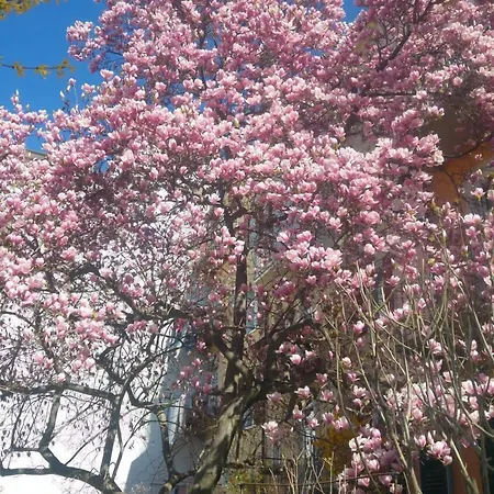 Haus Mobene - Garni Hotel Graz